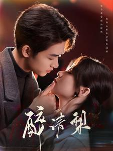 醉清梨（97集）怎么看全集