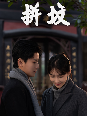 拼坟（62集）全季一次看完