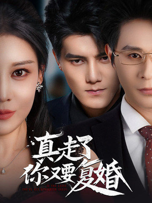 真走了你又要复婚（60集）全季一次看完