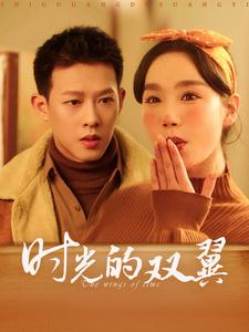 时光的双翼（94集）全集免费