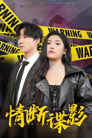 我的特工老婆（30集） 全网独播免费看