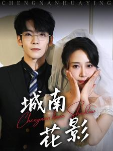 城南花影（45集） 最新热剧免费看