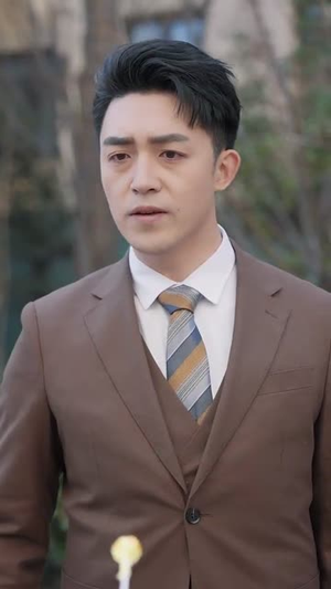 到今犹恨轻别离（71集） 短剧排行榜