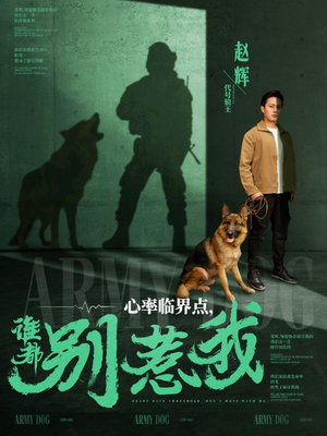 心率临界点谁都别惹我（96集） 全集完整版