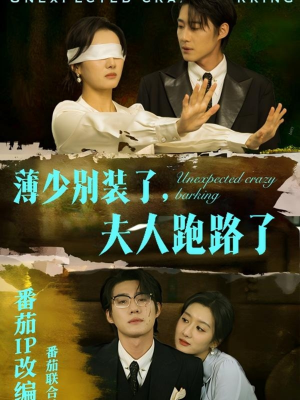 薄少别装了夫人跑路了（60集） 去哪里看