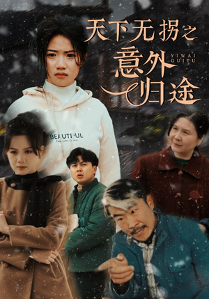 天下无拐之意外归途（61集） 海量短剧免费看