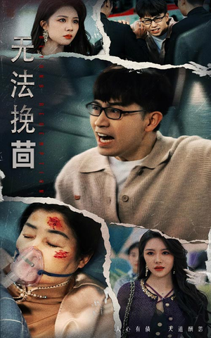 无法挽回（56集） 爆火短剧抢先看