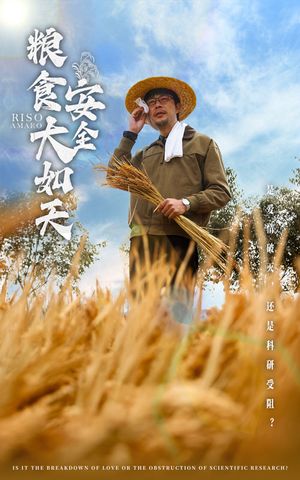 粮食安全大如天（43集） 超火热门短剧