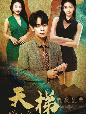 天梯（53集）  全集