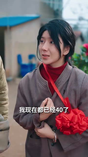 中年心事浓如酒（54集） 精彩的网络短剧