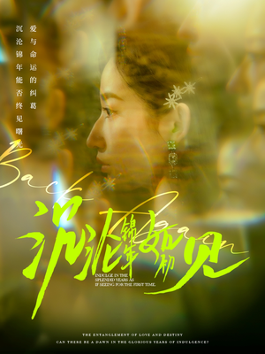 沉沦锦年如初见（79集） 一共多少集