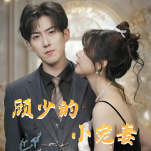 顾少的小宠妻（90集）精彩短剧天天看