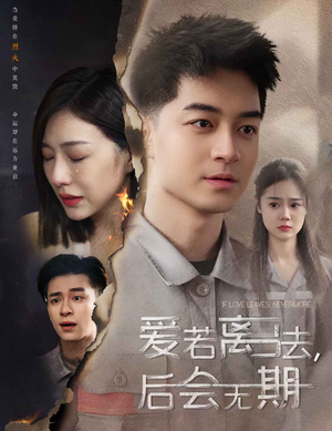 爱若离去，后会无期（70集）高清无码免费看
