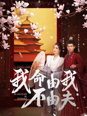 我命由我不由夫（75集） 第32集