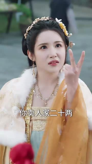 醉揽千金县尉追凶记（58集） 精彩的网络短剧