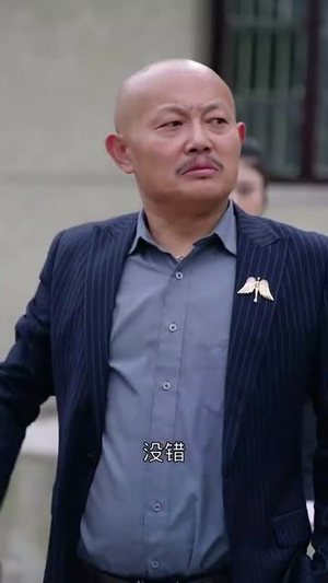 养儿防老积谷防饥（31集） 哪个短剧网能看