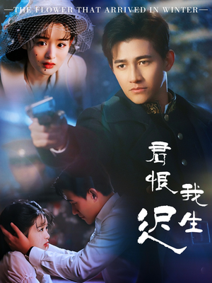 司令府就是我的家（60集） 在线观看完整版