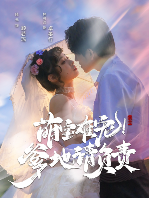 萌宝难宠爹地请负责（80集） 完整版免费观看