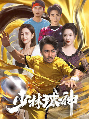 少林球神（46集） 爆火短剧推荐