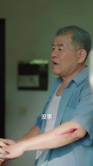 清明出游之我的爱国爷爷（35集）热门短剧推荐。
