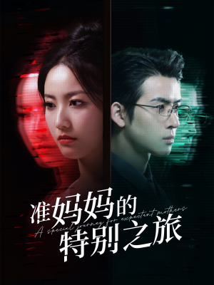 准妈妈的特别之旅（80集）在线免费观看