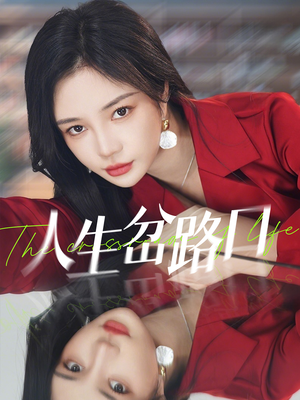 人生岔路口（30集）免费观看全集