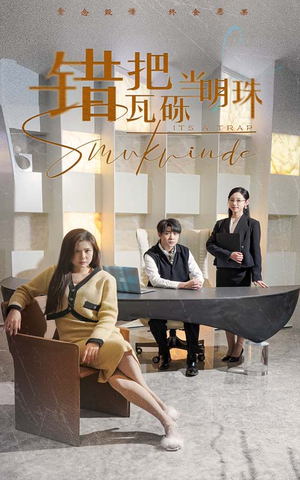 错把瓦砾当明珠（55集） 女主角是谁