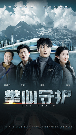 拳心守护（28集） 全季一次看完