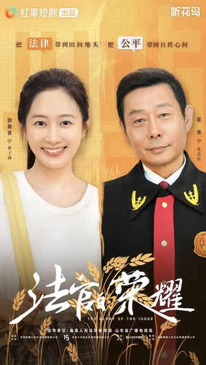 法官的荣耀（5集全）全集