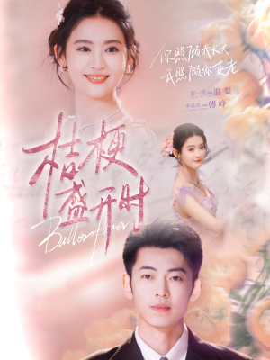 桔梗盛开时（92集）高分佳作免费看