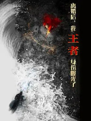 离婚后，我王者身份曝光了（80集）最火短剧推荐