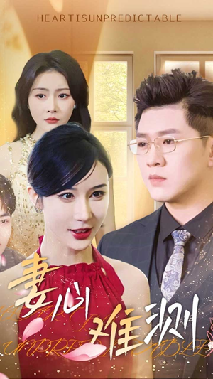 妻心难测（33集）全集完整版