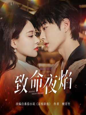 致命夜焰（80集）一起看短剧
