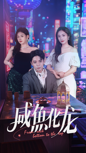 咸鱼化龙（30集） 经典老剧免费看