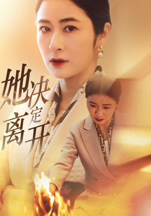 她决定离开（32集） 免费在线看全集