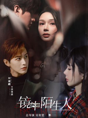 镜中陌生人（54集） 大结局