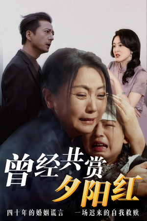 曾经共赏夕阳红 新短剧推荐