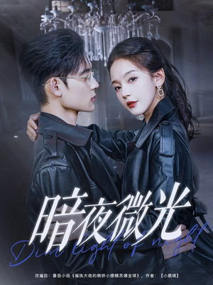暗夜微光（86集）免费短剧看全集
