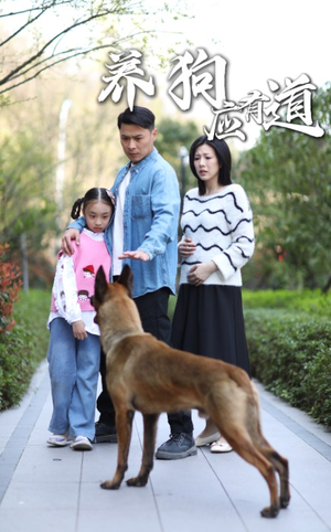 养狗应有道（60集）最热门短剧来了