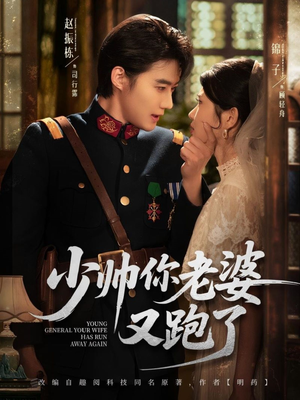 少帅你老婆又跑了（82集）在线观看