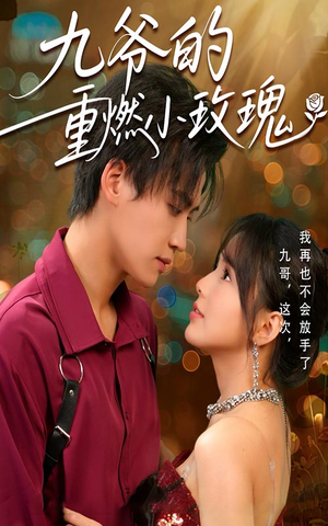 九爷的重燃小玫瑰（67集）热门短剧免费看