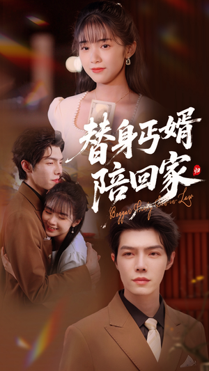 替身丐婿陪回家（35集）高分推荐免费看