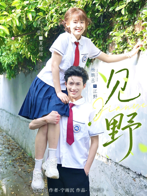 见野（79集）经典老剧免费看