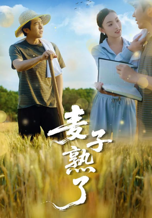 麦子熟了（52集）好看的短剧来了