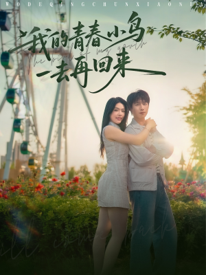 我的青春小鸟一去再回来（95集）大结局太过瘾了