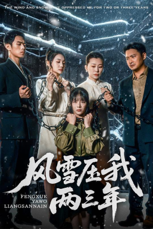 风雪压我两三年（50集）全部免费看全集