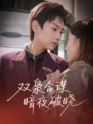 双枭合谋暗夜破晓（30集）热门短剧在线看