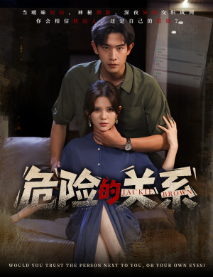 危险的关系（55集）热播短剧免费看