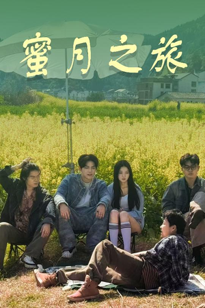 蜜月之旅（35集）全集免费看短剧