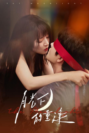 月光下的重逢（54集）全网独播免费看
